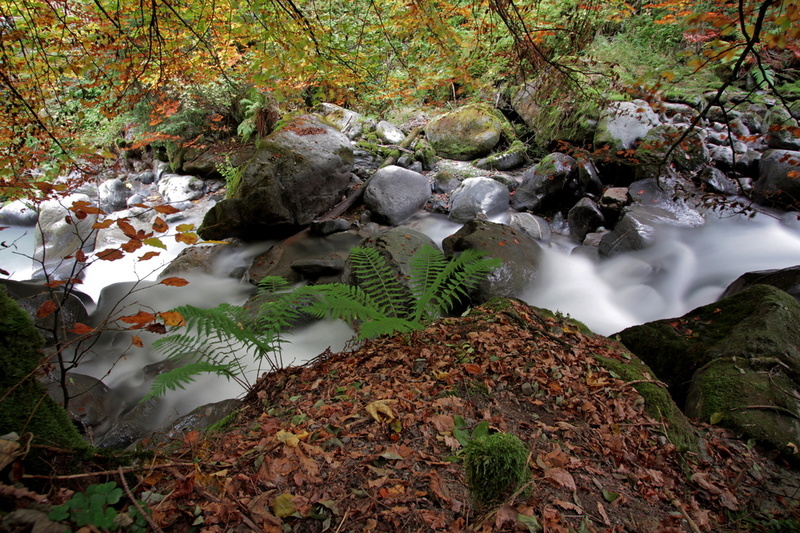 VincR-20170930-les allues-IMG 5929-1600