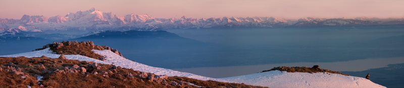 VincR-pano chamois dole 180