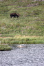 VincR 2008-09-04 moose etang-gros-morne