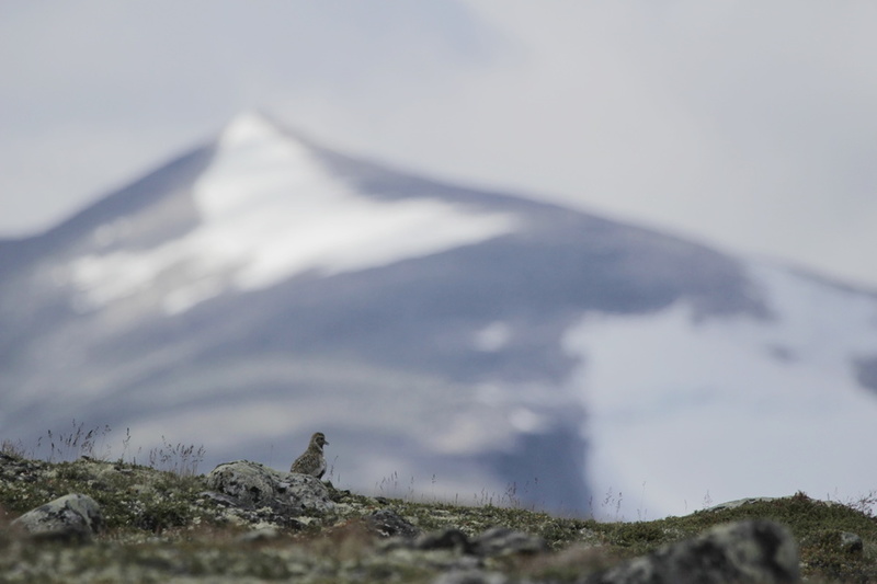 VincR 2017-08-13-road-trip sandinavie-21