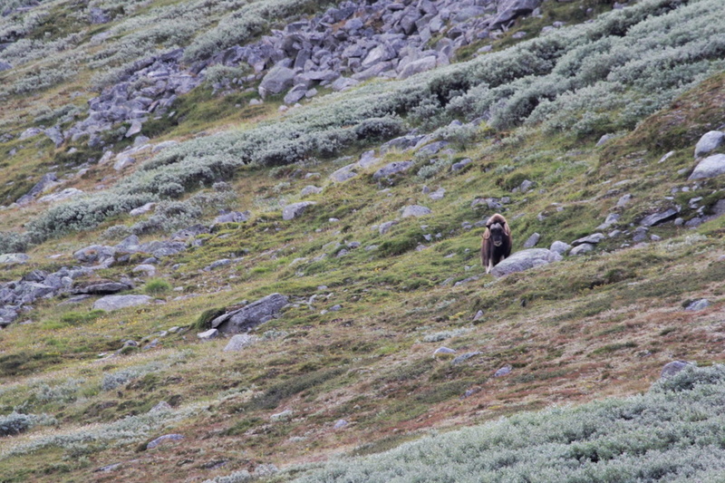 VincR 2017-08-13-road-trip sandinavie-23