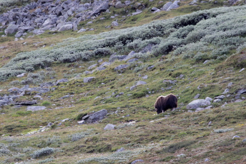 VincR 2017-08-13-road-trip sandinavie-24