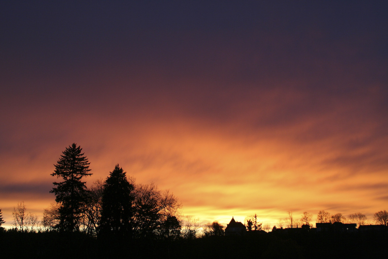 VincR couchersoleilchampa