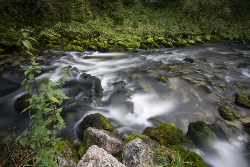 VincR filesourcedoubs