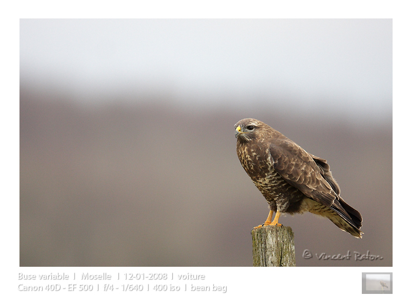 VincR 2008-01-12 buse